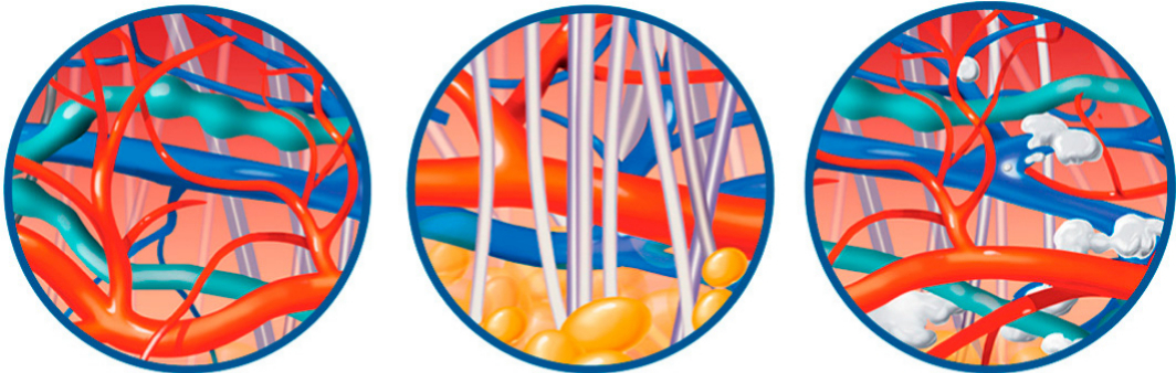 Clínicamente comprovado